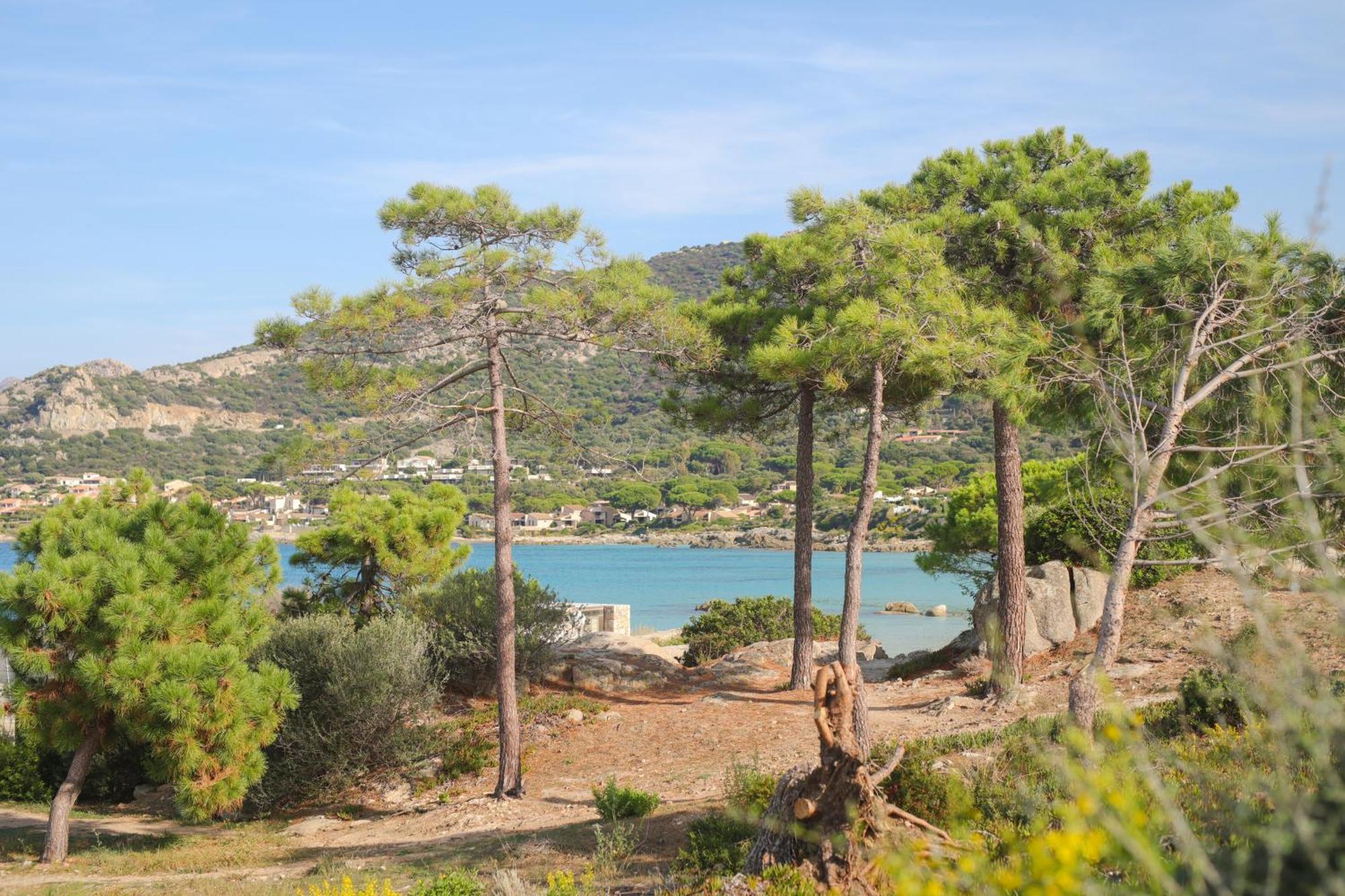 Appartement La Balagne , Bord De Mer, Grande Terrasse, Sant'Ambroggio Lumio  Buitenkant foto